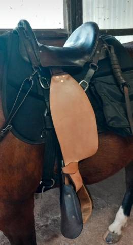 Selle type mac lellan
