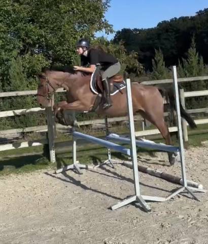 Poney c 