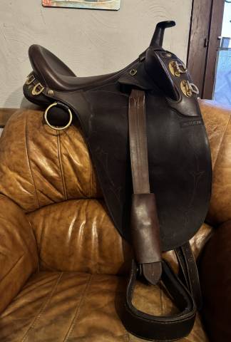 Selle australienne stock