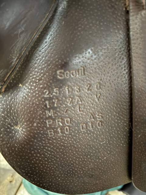 Selle forestier séoul 17  2025 