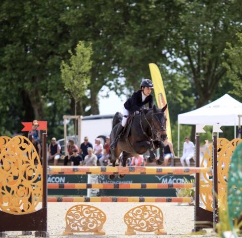 Poney d’excellence à vendre 