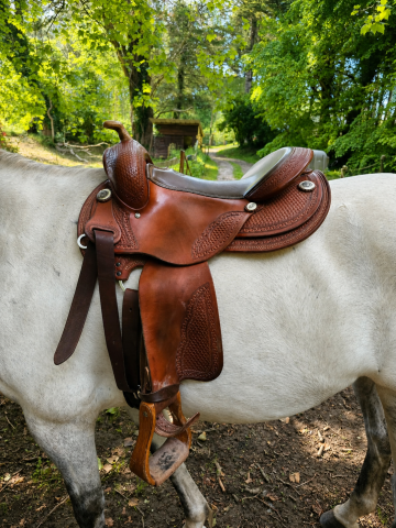 Selle western deuber and partner