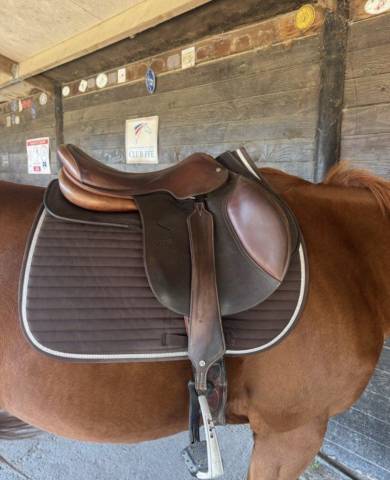 Selle jump’in 17,5