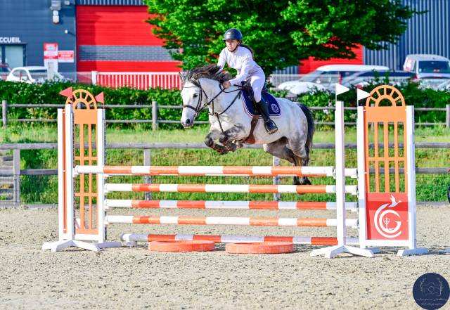  poney d à vendre ✨