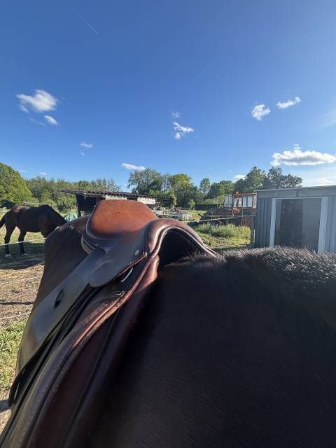 Selle cheval poney 