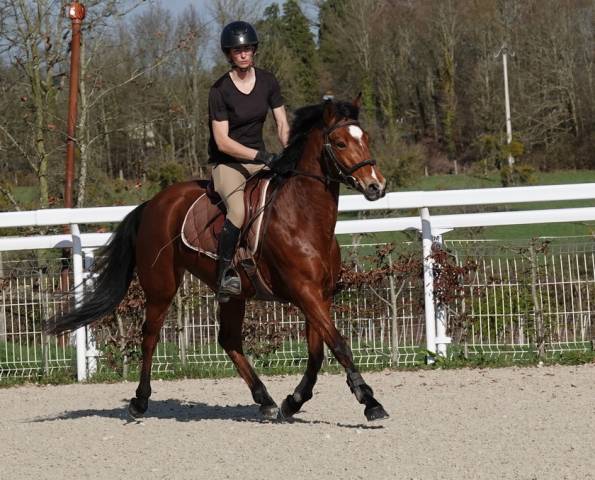 Adorable ponette pour as cce / cso