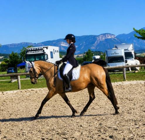 Ponette - 8 ans - dressage / idéale enfant - france