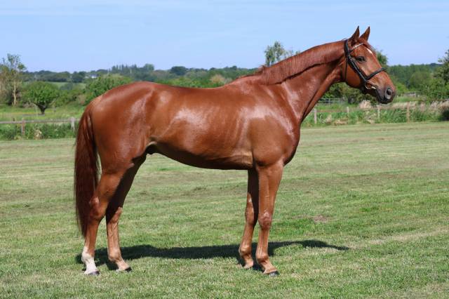 Lafayette d'anchat