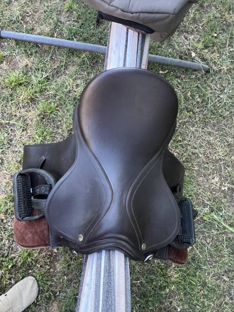 Selle mixte d’équitation