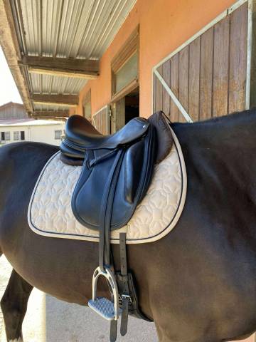 Selle dressage cwd