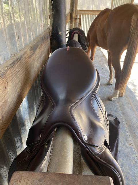 Selle équipe 17’