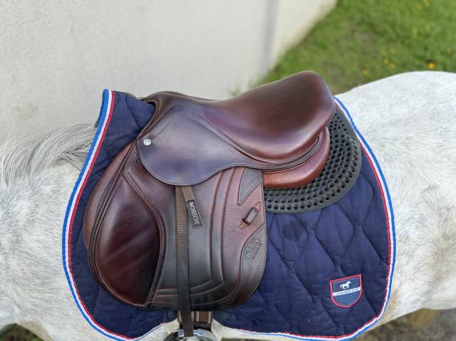 Selle cwd junior 15,5 doublee veau