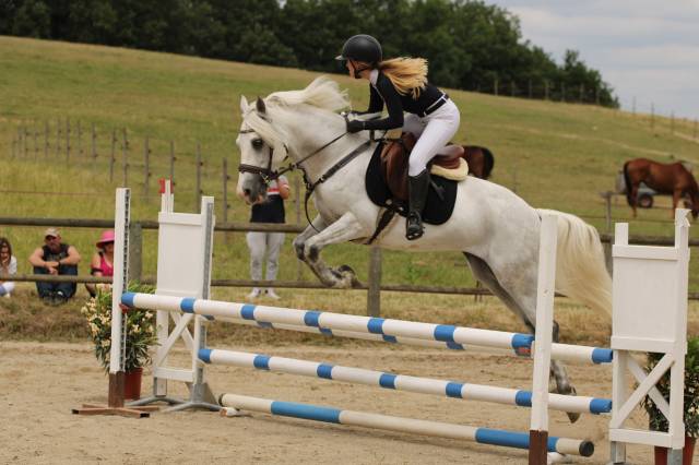 Poney de sport connemara