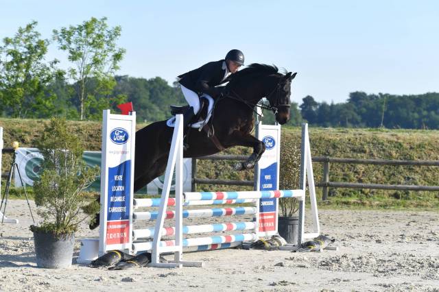 Cheval de selle oc