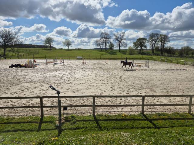 Pension cheval et poney