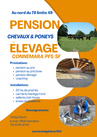 Pension à l'herbe avec carrière, manège, rond...