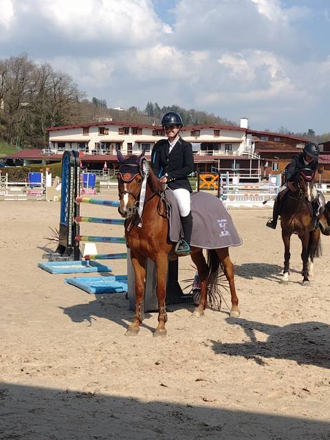 Hickstead d'eskame, hongre, 9 ans, 147 cm à la toise