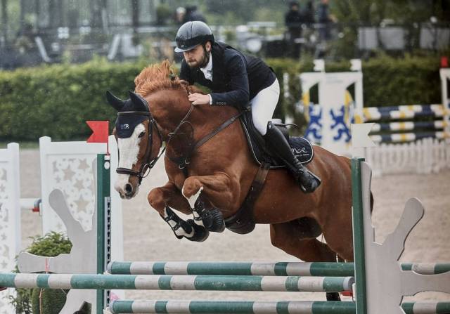 Super hongre de 9 ans pour amateur élite et plus