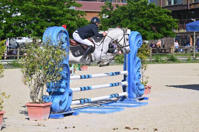 Poney en or Ă vendre