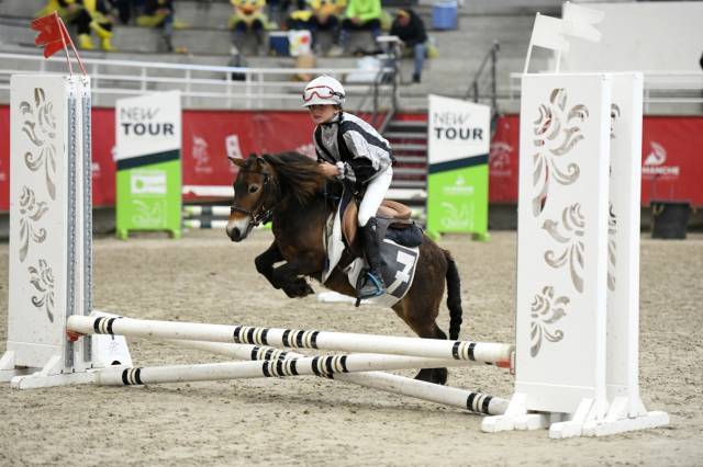 Ponette shetland pp (cso/equifun)