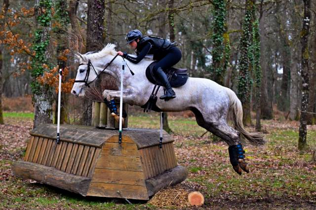 Top jument 7 ans classée amateur 1 