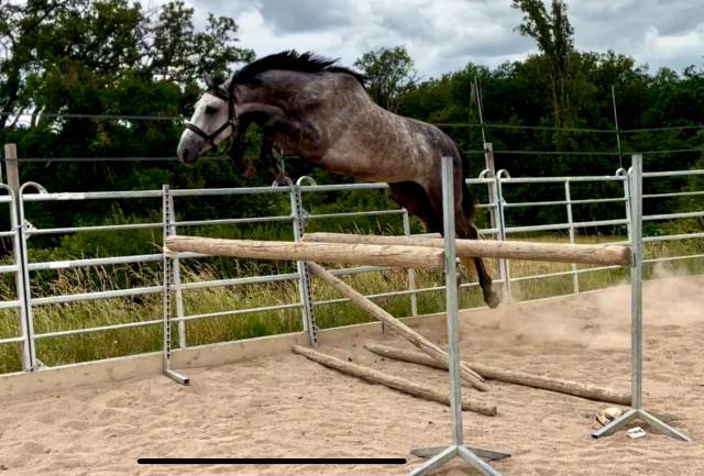Male sf 4 ans catchar mail x casano