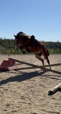 Ponette 3 ans