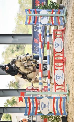 Poney d’ as 2 à vendre 