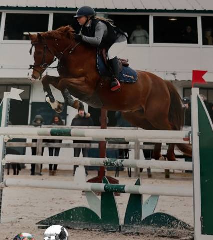 Poney compétitif as2 as1 / a tourné jusqu'en as elite