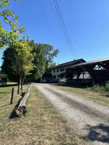 Beau domaine pour passionnés de chevaux colmar