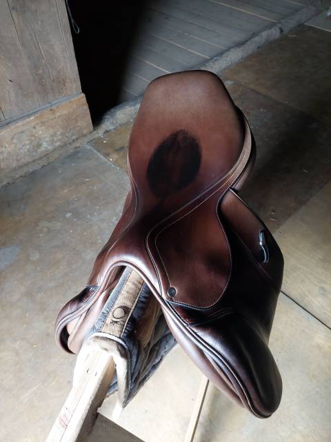 Selle equipe spécial i-carbone 17’5