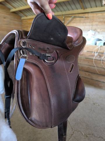 Selle enfant guy cantin