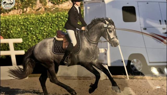 Hobgre co 5 ans
