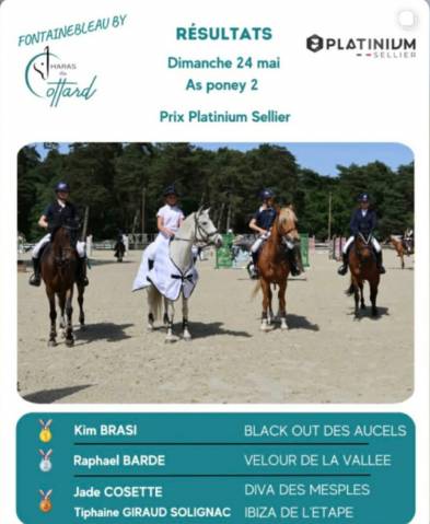 A vendre ponette as1 as2 maître d'école