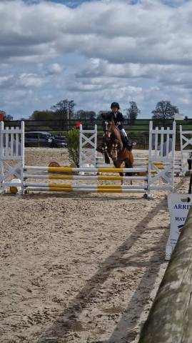 A vendre top poney pour concours 