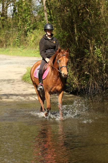 Ponette d pp 5 ans loisir/sport