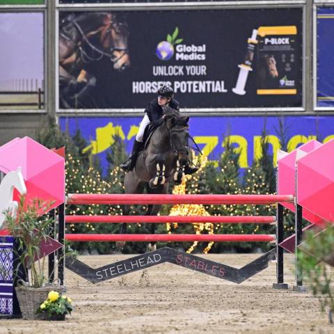 Cheval de 11 ans à prendre en location 