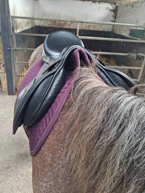 Selle 16,5 mixte