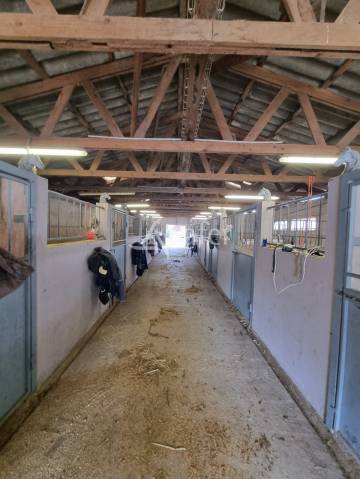 Bâtiment agricole sur 1.2ha -ecuries aux portes de béziers