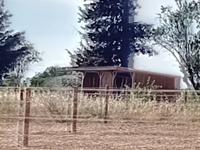 Pension paddock confort - cheval loisir les castans 