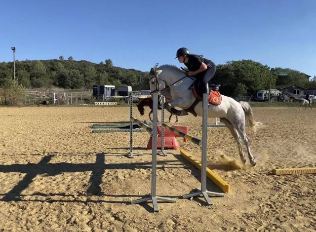 Poney de sport - fantastique du meyras