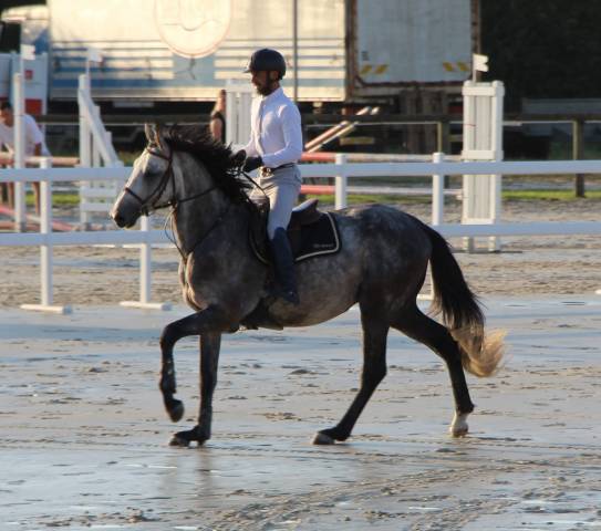 Male sf 4 ans catchar mail x casano