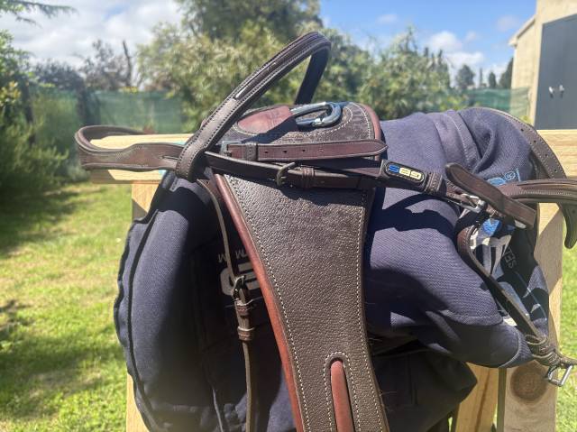 Selle gbs