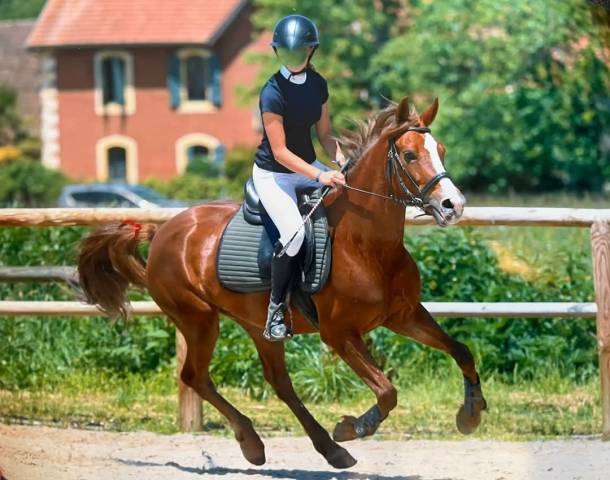 Ponette max d 8 ans pour pélite