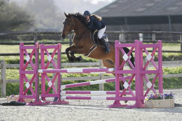 Av super cheval d’amateurs