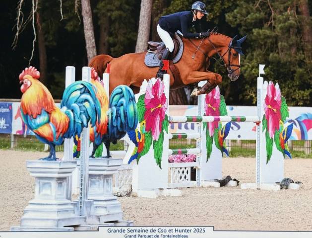Av jument sf 6 ans cso - classiques 6 ans