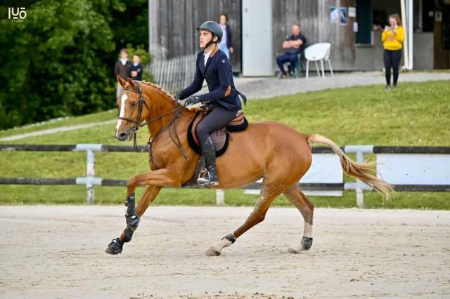 Poulinière cso