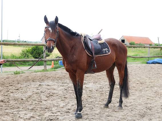 Taz - 5ans - 1m68