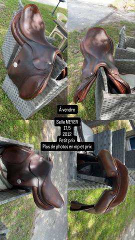Selle meyer 17,5