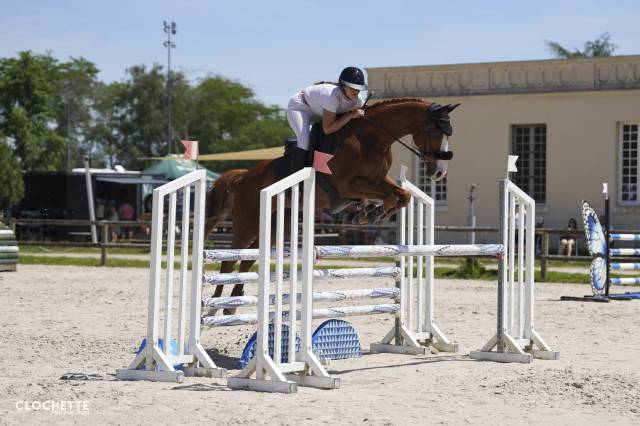 Cheval cce/cso/loisir 